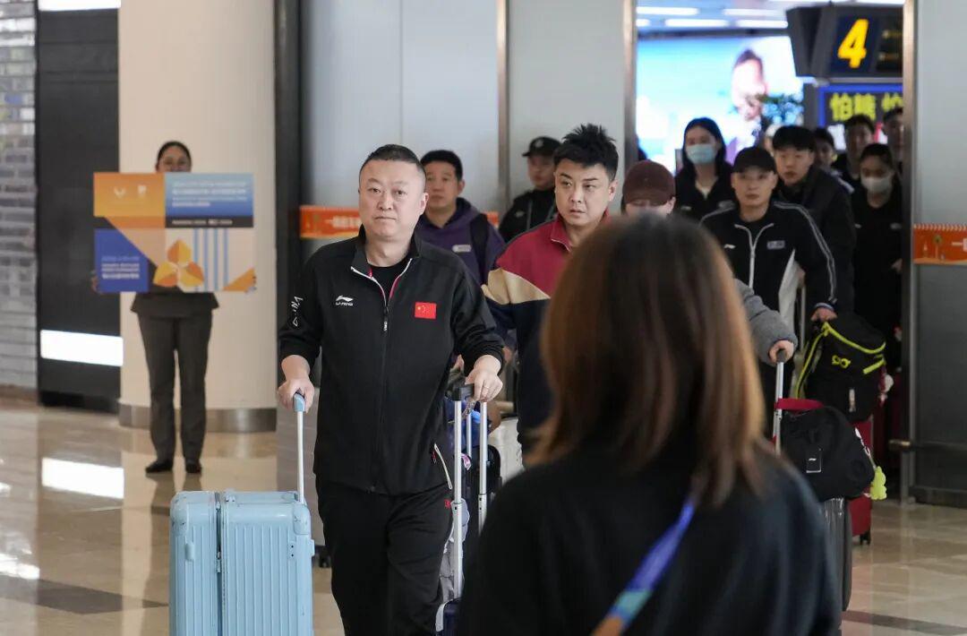 MK体育-王楚钦、孙颖莎即将复出！